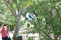 0190-Reis Zuid-Afrika2007